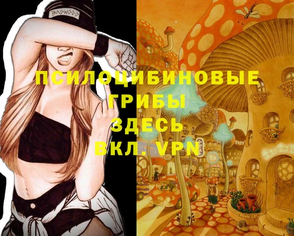 бутират Алексеевка