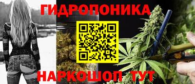 амф Обнинск
