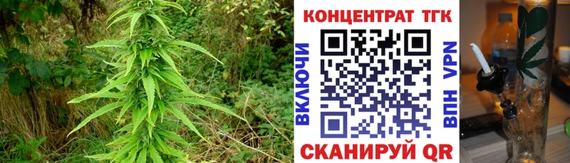 хочу наркоту  Сибай  ТГК гашишное масло 
