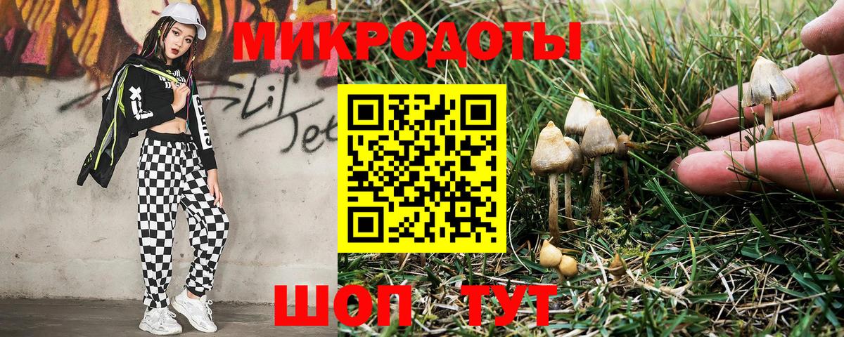 Галлюциногенные грибы мухоморы  Вход с VPN  Сибай 